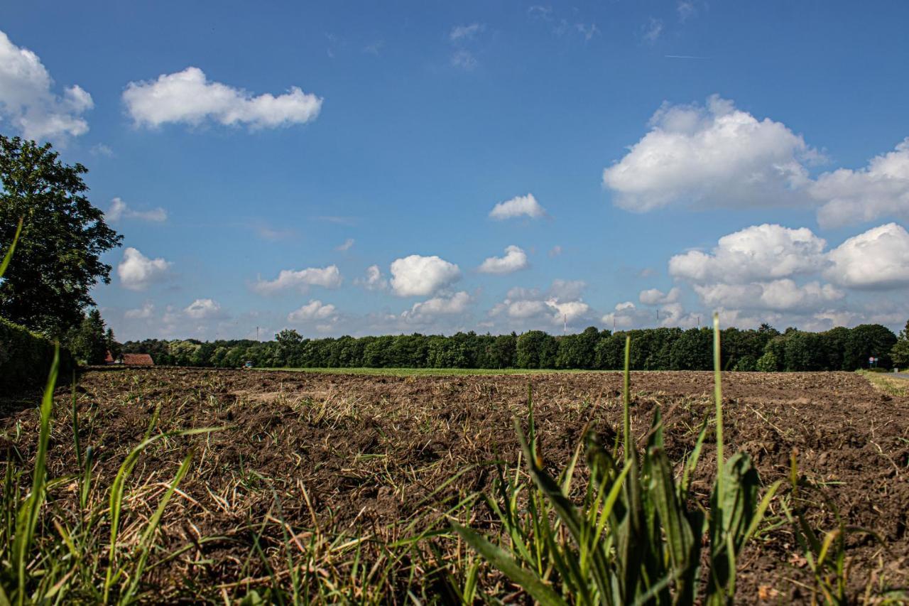 De Lammersdamhoeve Wingene Bagian luar foto