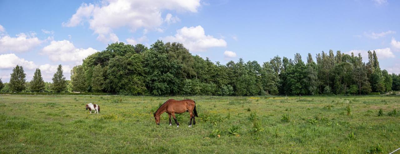 De Lammersdamhoeve Wingene Bagian luar foto